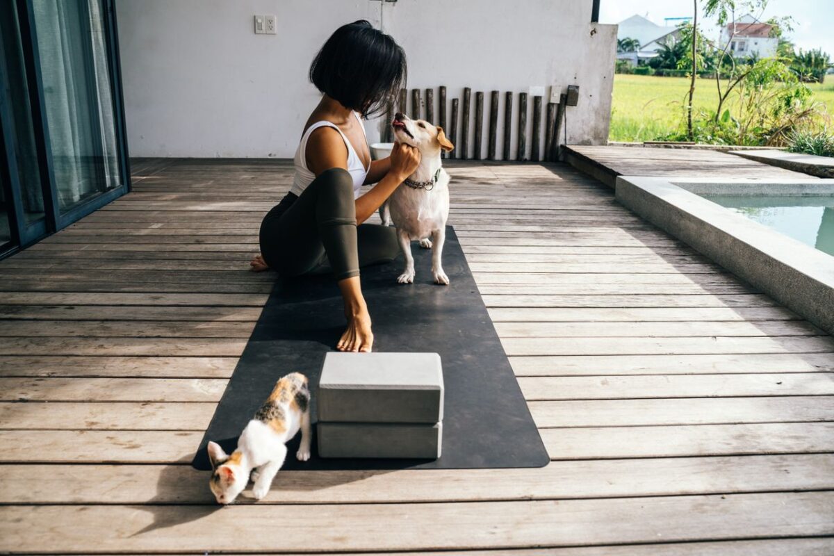 CREPS CRJS Centre A woman stretches on a terrace with her dog and cat, enjoying a yoga session outdoors.